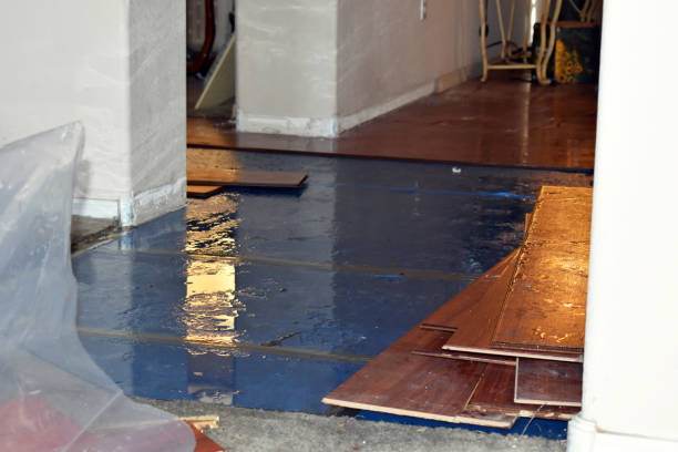 Professional Basement Water Removal technician working in Monponsett, MA